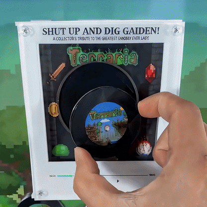 Terraria Vinyl Frame